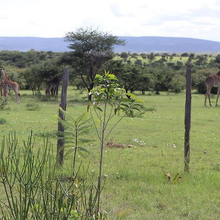 Kambu Mara Camp Hotel Sekenani Exterior foto