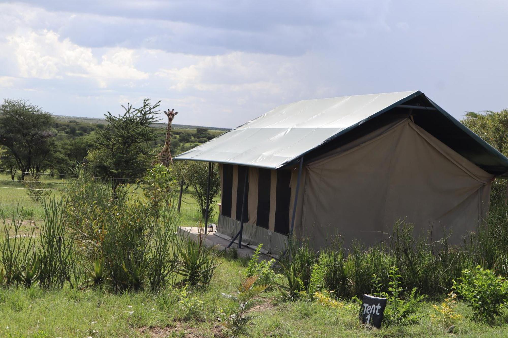 Kambu Mara Camp Hotel Sekenani Exterior foto